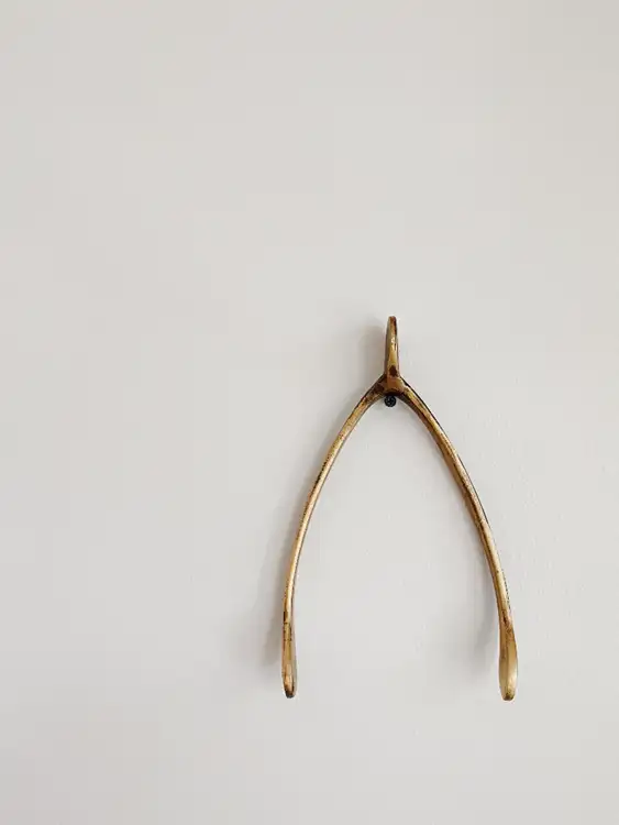 Make a wish and break a wishbone!