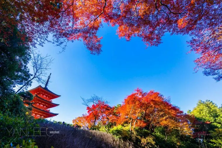京都氣溫 - 清水寺