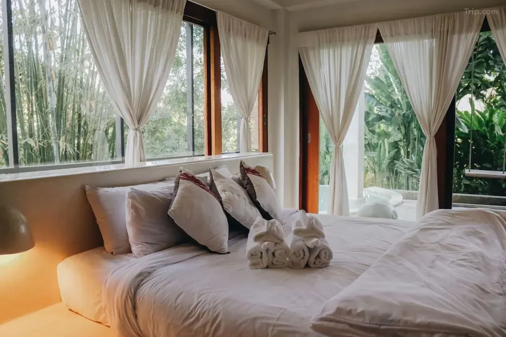 ป่าบงเปียง ที่พัก