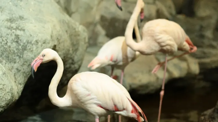 Underwater World Langkawi