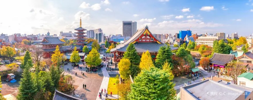 Popular attractions aound Narita Airport Limousine Bus Route
