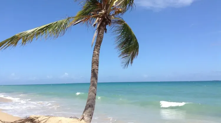 治安の良いプエルトリコに出掛けよう!