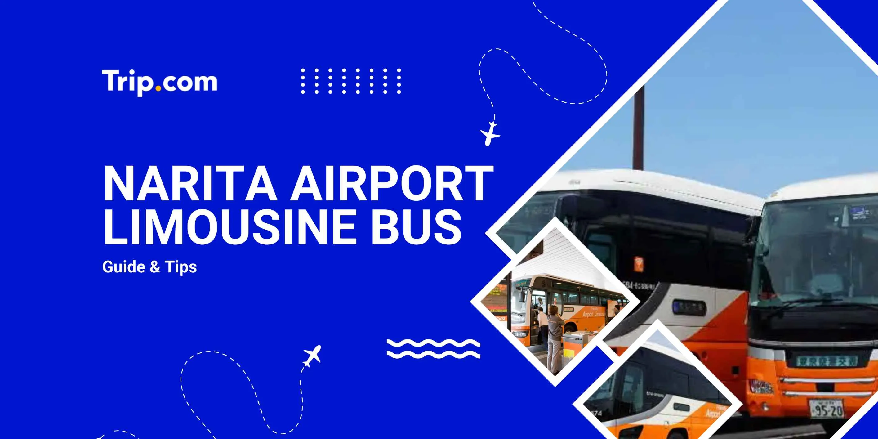 Narita Airport Limousine Bus