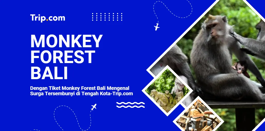 Tiket Monkey Forest Bali di Trip.com