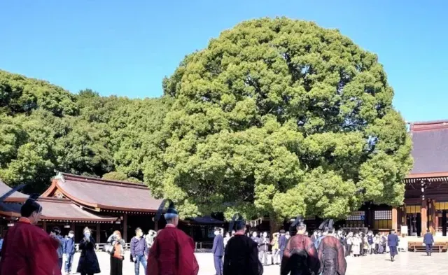 東京好去處