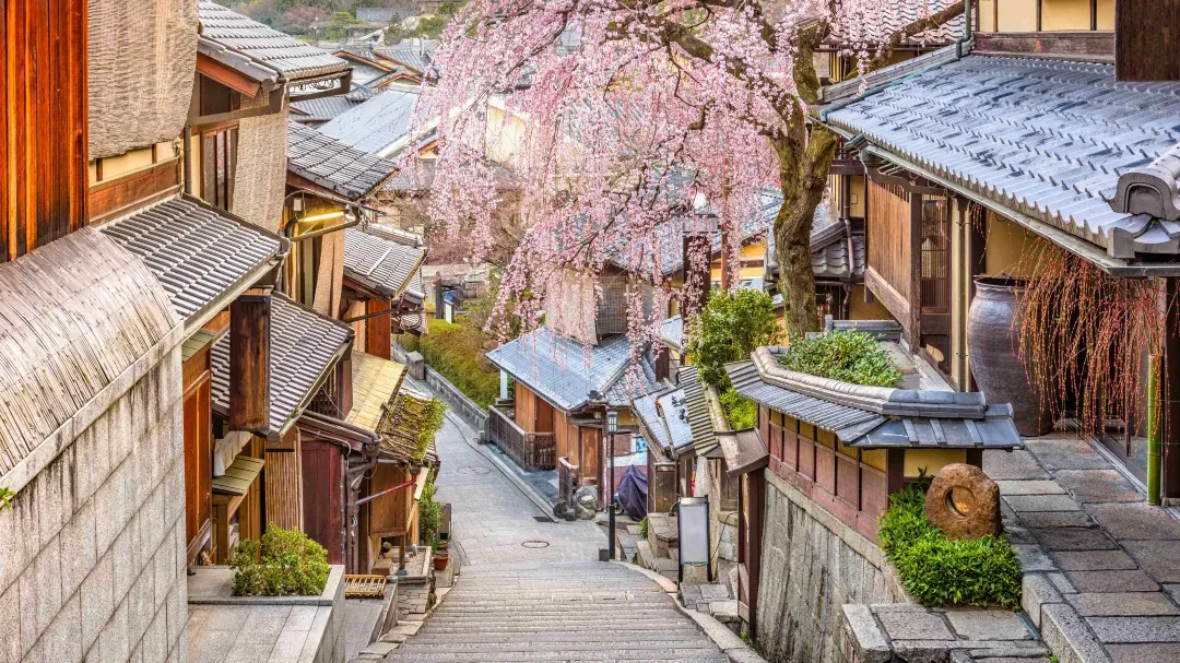 Best Time to Visit Japan: Tokyo's ancient street