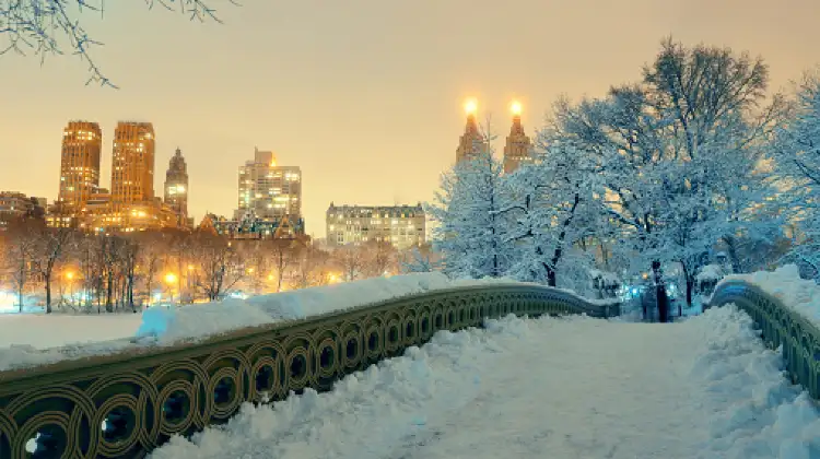 New York Snow Scenery at Night