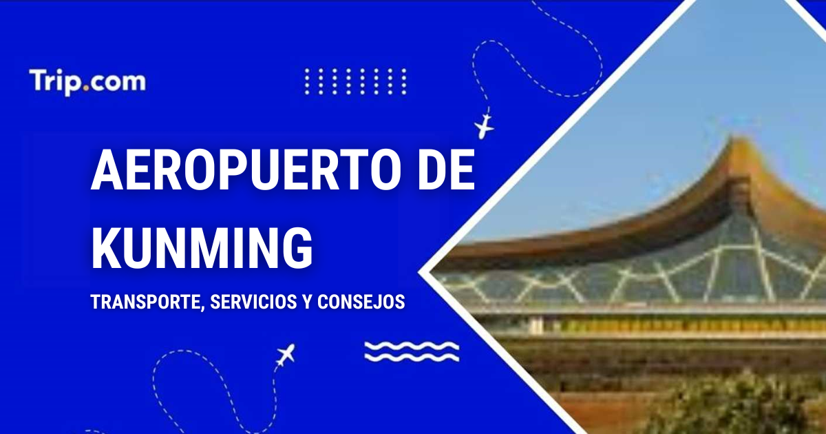 Aeropuerto de Kunming: transporte, servicios y consejos