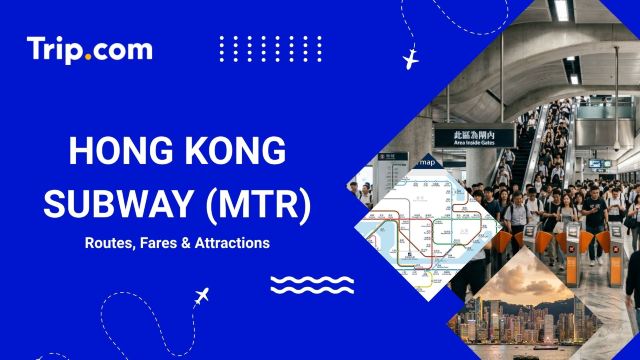 Hong Kong Subway (MTR) Guide: Maps, Fares & Tips | Trip.com