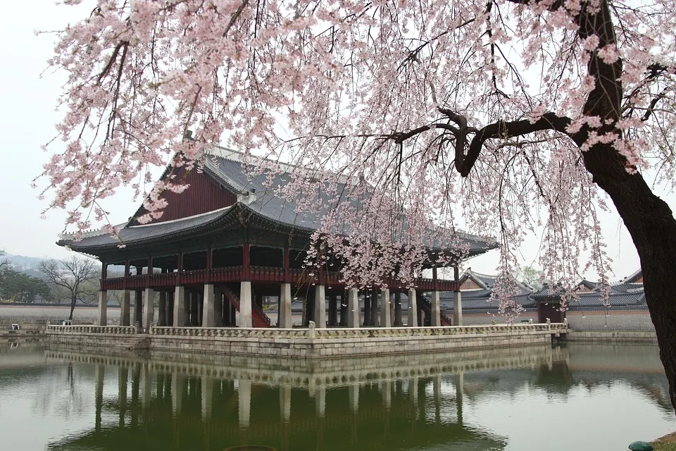 韓国の春（3月～5月）の気温とベストシーズン