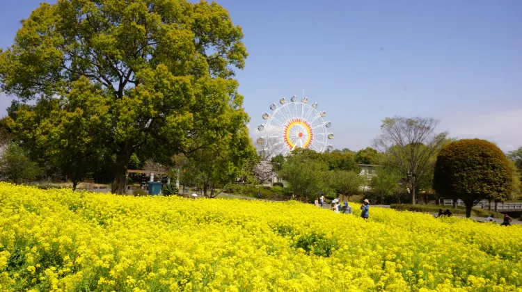 熊本市動植物園