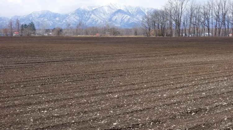 帯広のおすすめのお土産ショップ3選