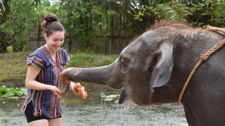 2025年タイの水かけ祭りの日程