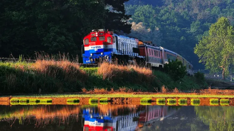 標準火車（無窮花號）