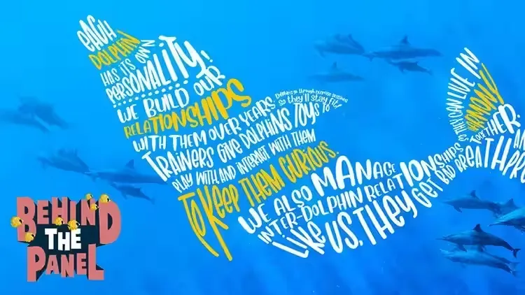 SEA Aquarium Behind The Panel