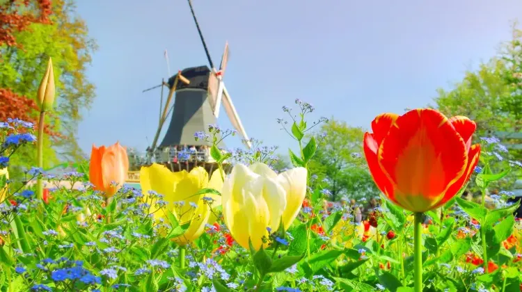 2025年オランダの祝日・連休でよくある質問