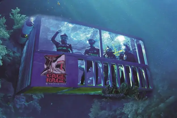 People diving underwater in a cage