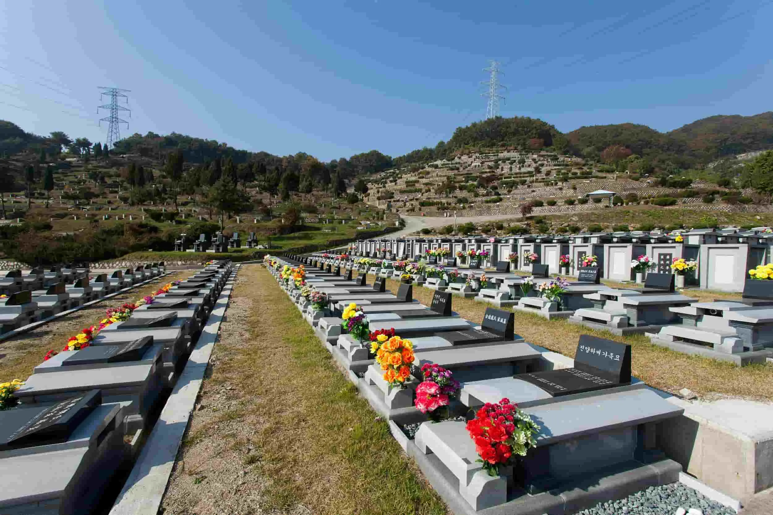 Cementerio con flores