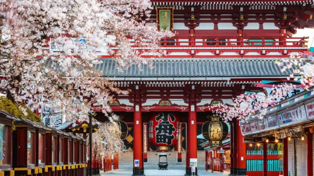 Popular Tokyo Attractions