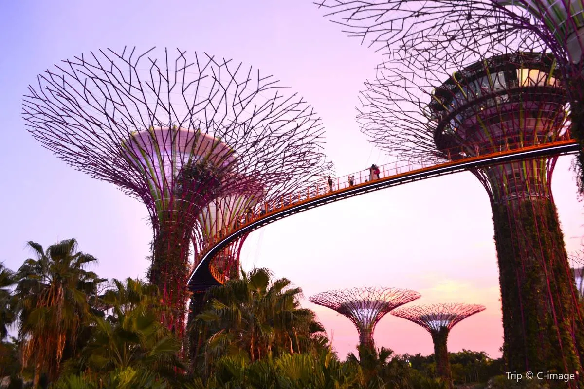 Gardens by the Bay attractions