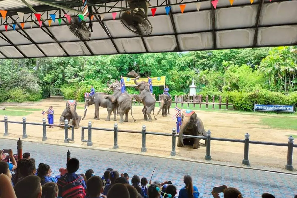 ที่เที่ยวนครปฐม#11 ลานแสดงช้างและฟาร์มจระเข้สามพราน