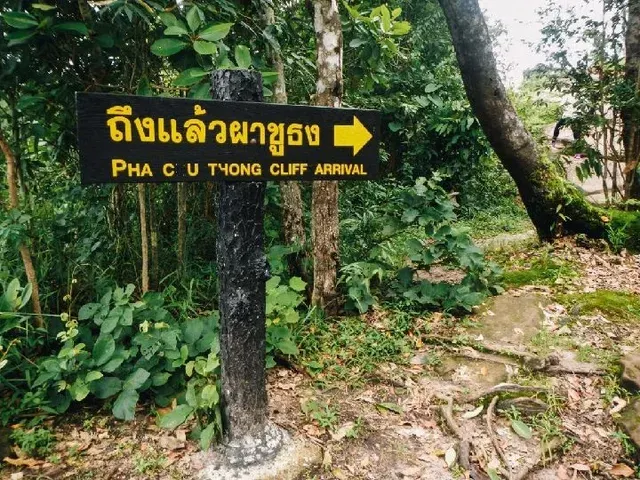 ที่เที่ยวพิษณุโลก#20 ผาชูธง