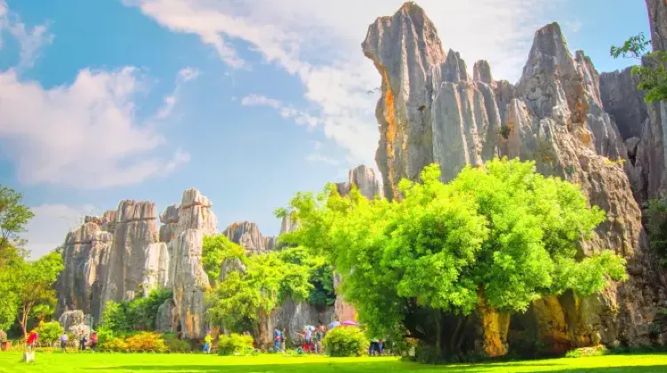 Explore the Majestic Stone Forest Scenic Area in Kunming