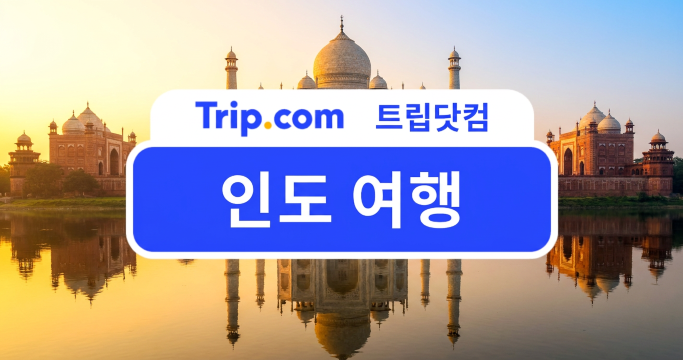 인도 여행 코스 5박 6일 관광지 여행 꿀팁 총정리 | 트립닷컴