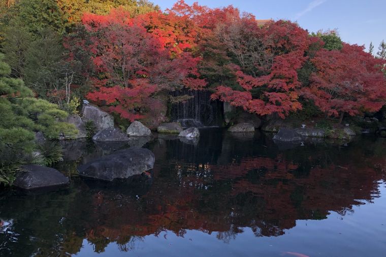 【姫路城西御屋敷跡庭園 好古園】紅葉の見頃は11月中旬~12月上旬