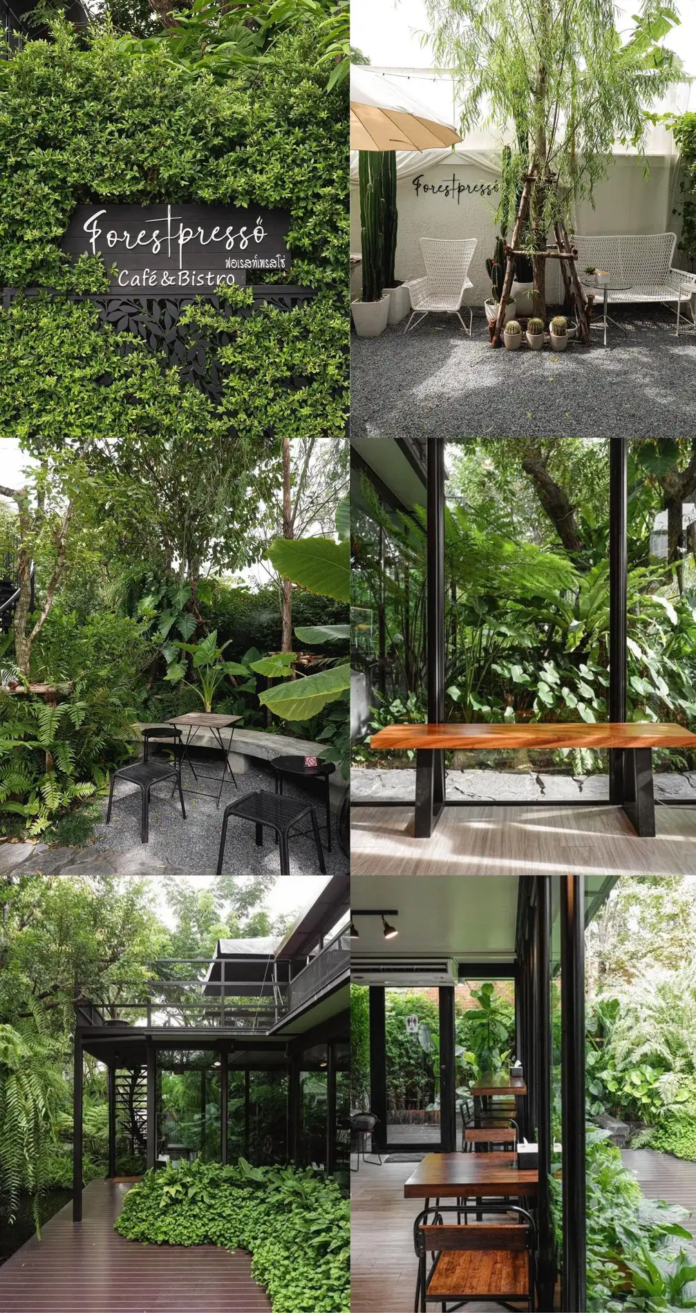 quán cafe đẹp ở bangkok - forestpresso