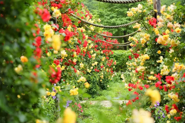 熱海のお土産を購入するのにおすすめの場所ベスト3