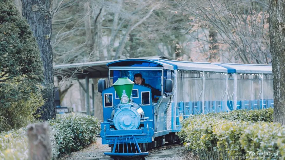 Four Seasons Of Nami Island Winter