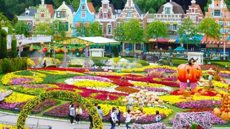 Best Things to do in Seoul