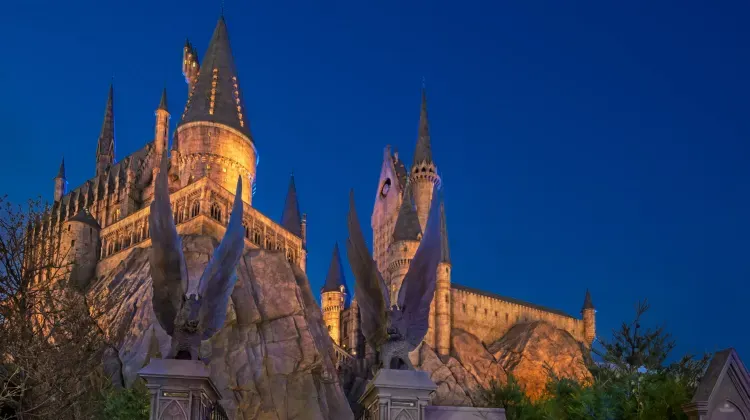 The Wizarding World of Harry Potter™: