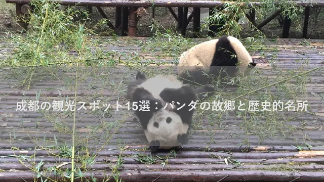 成都の観光スポット15選