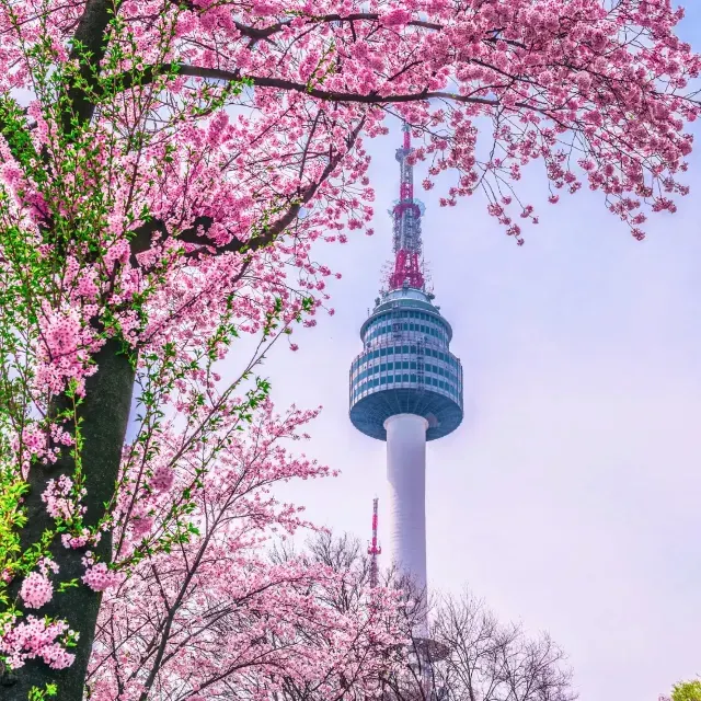 南山公園