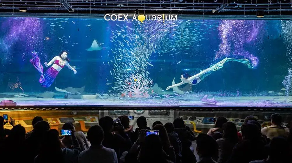 COEX Aquarium 水族館
