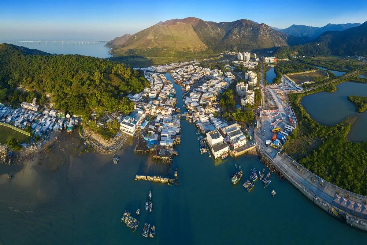 香港龍舟賽畫面