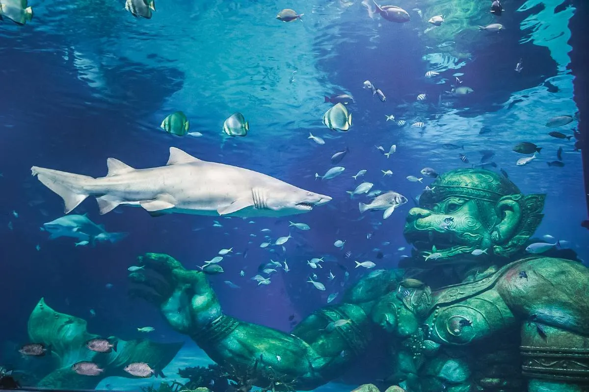 อควาเรีย ภูเก็ต Aquaria Phuket