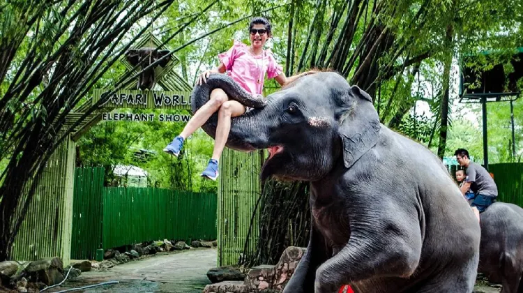 Things to do in Bangkok #6: Safari World Bangkok