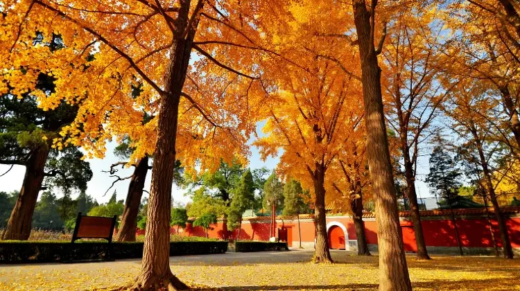 北京で安く行けるベストシーズン