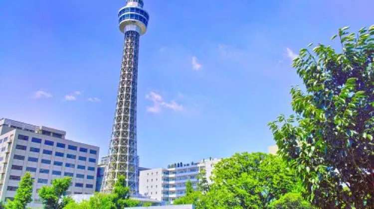 天候が悪くても横浜は楽しい!