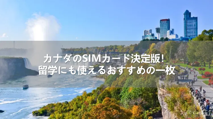カナダのSIMカード決定版!留学にも使えるおすすめの一枚