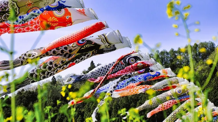 Source: Leo Okuyama/ unsplash Koinobori are carp streamers flown during Children’s Day to wish boys a successful life