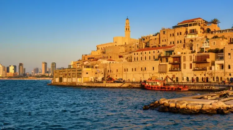 ランキング8位|イスラエル