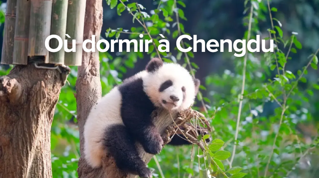 Où dormir à Chengdu : meilleurs quartiers, hôtels et activités