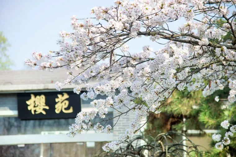 南京氣溫 - 玄武湖景區