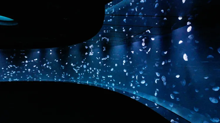 サンシャイン水族館へのアクセス