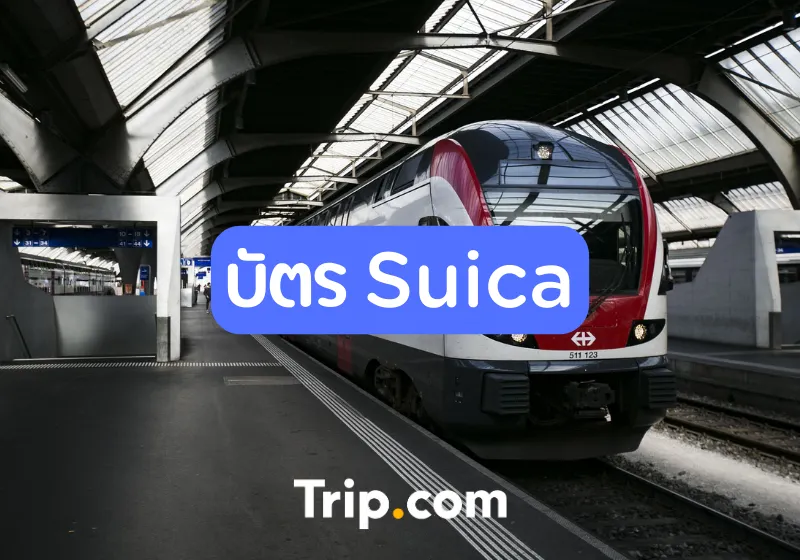 บัตร welcome suica