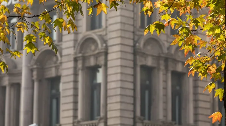 Tarikan Lain di Shanghai